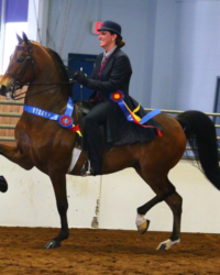 Ledyard’s One More Time