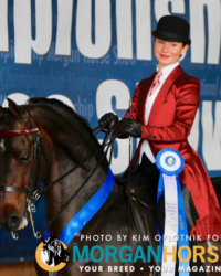 Ledyard’s Midas Touch