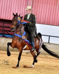 Ledyard Mysterious Prince