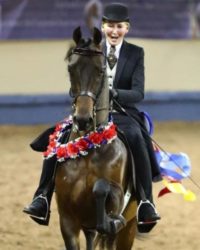 Ledyard Solitary Man