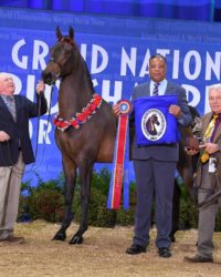 Ledyard There You Go